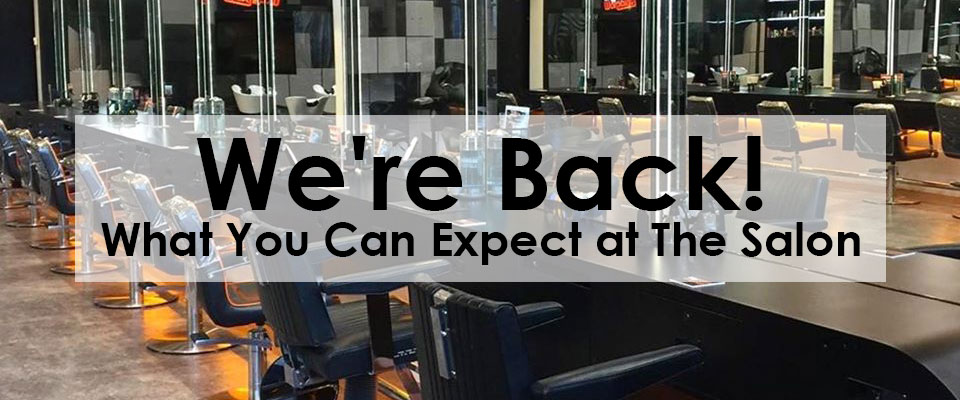Were Back banner