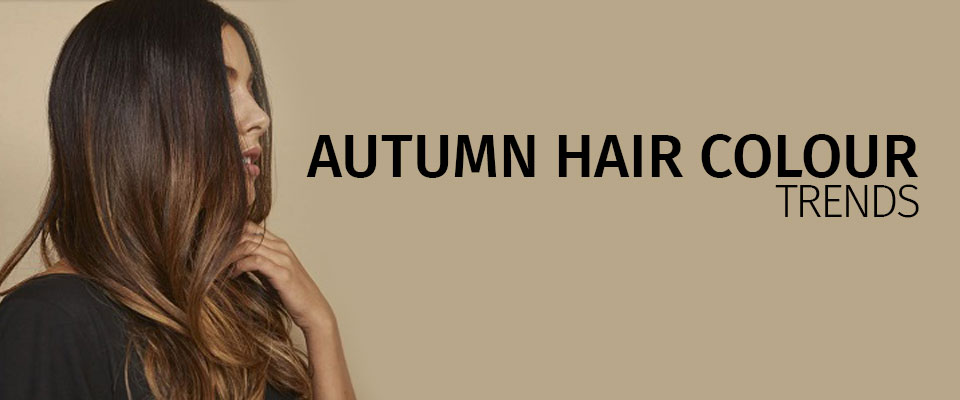 Autumn Hair Colour Trends banner