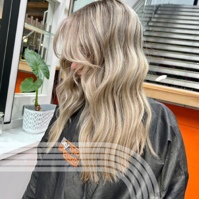 New Client Offer New Client Offer